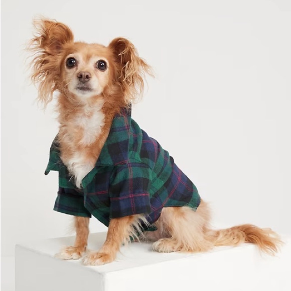 Matching Print Flannel Shirt for Pets/Pet Flannel-Green and Blue with Red-SizeXS